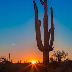 Wayward Wind Desert Tours