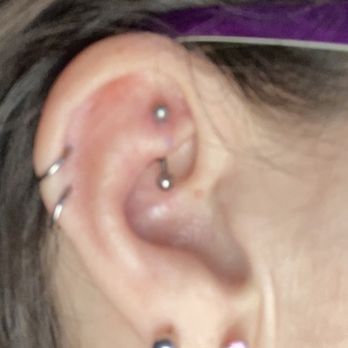 Serenity Body Arts - Rook piercing and also two helices that were done a while back from the same place - Tattoo Near Me - Southampton, Pennsylvania Serenity Body Arts - Rook piercing and also two helices that were done a while back from the same place - Tattoo Near Me - Southampton, Pennsylvania