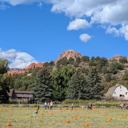 Rock Ledge Ranch - Pumpkin patch