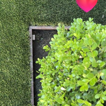 EcoGrass - Perfect lines and concealed edging! - Artificial Turf Near Me - Reseda, California EcoGrass - Perfect lines and concealed edging! - Artificial Turf Near Me - Reseda, California
