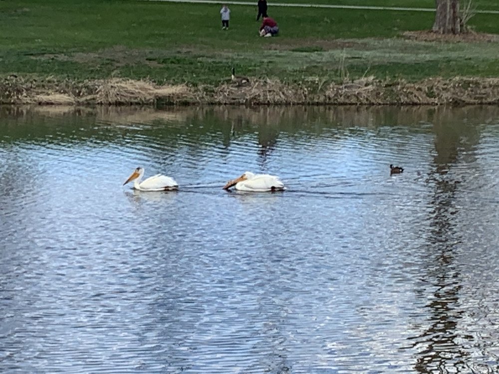 GARLAND PARK 32 Photos S Monaco Pkwy And Cherry Creek, Denver