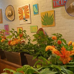 El Torito Mexican Restaurant - Fall Season