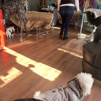 Diane's Permanent Makeup - Absolutely disgusting to have your pets in a place of business definitely is not sanitary! - Eyebrow Services Near Me - East Greenwich, Rhode Island Diane's Permanent Makeup - Absolutely disgusting to have your pets in a place of business definitely is not sanitary! - Eyebrow Services Near Me - East Greenwich, Rhode Island
