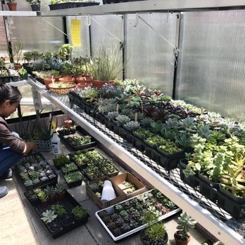 Grow Something - Nurseries & Gardening Near Me - St. Thomas, Ontario Grow Something - Nurseries & Gardening Near Me - St. Thomas, Ontario
