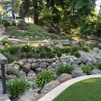 Custom Plantings - Landscaping Near Me