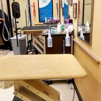 PetSmart - Pet Training Near Me - Chino Hills, California