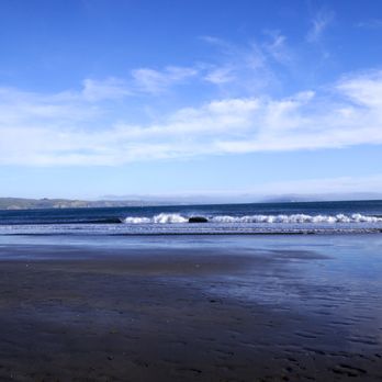 Doran Regional Park - Everything about the beach and the park are good. People seem respectful of the environment and it was pleasant. - Parks Near Me - Bodega Bay, California Doran Regional Park - Everything about the beach and the park are good. People seem respectful of the environment and it was pleasant. - Parks Near Me - Bodega Bay, California