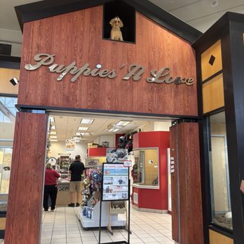 Puppies 'N Love - Front - Pet Stores Near Me - Glendale, Arizona