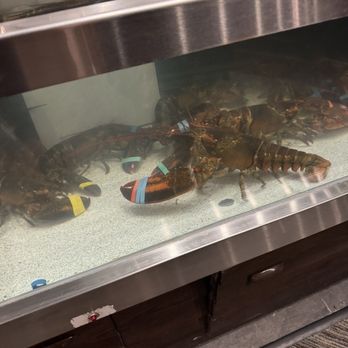 Red Lobster - Seafood Near Me - Valencia, California Red Lobster - Seafood Near Me - Valencia, California