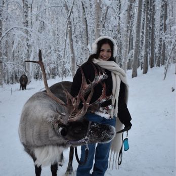 Trvld - Reindeer Walk - Travel Services Near Me Trvld - Reindeer Walk - Travel Services Near Me