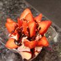 Photo of Cremagelato Eiscafe