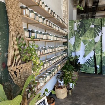 Anima Mundi Apothecary - shelves of jars and plants - Health Markets Near Me - Brooklyn, New York