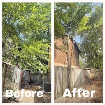 Flores Services - Tree Services Near Me Flores Services - Tree Services Near Me