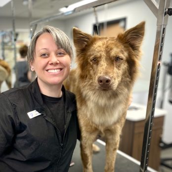 Petsense - Groomer Jackie - Pet Groomers Near Me - Raeford, North Carolina Petsense - Groomer Jackie - Pet Groomers Near Me - Raeford, North Carolina