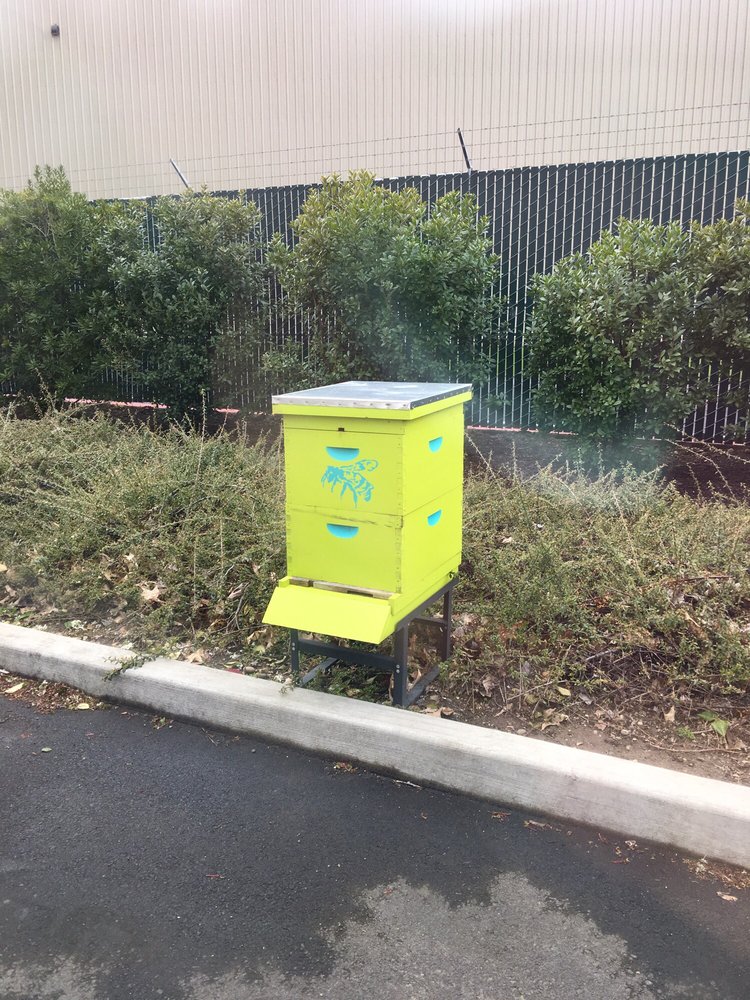 ruhl-bee-supply-updated-june-2024-29600-sw-seely-ave-wilsonville