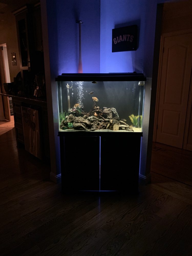 CLEAR WATER AQUARIUM 62 Photos & 121 Reviews 1080 Saratoga Ave, San Jose, California Local