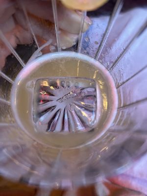 1331 Cocktails by null