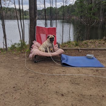 Patricia Lake Campgrounds - Patricia lake - RV Parks Near Me - Minocqua, Wisconsin