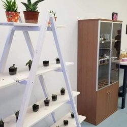 Curative Botanical Delights