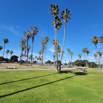 Maruta Gardner Playground - Beautiful grassy area located on the bay looking into the park - Playgrounds Near Me - San Diego, California