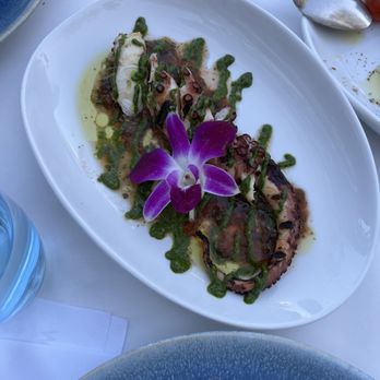 Barbayani Taverna - Squid - Greek Near Me - Los Altos, California Barbayani Taverna - Squid - Greek Near Me - Los Altos, California
