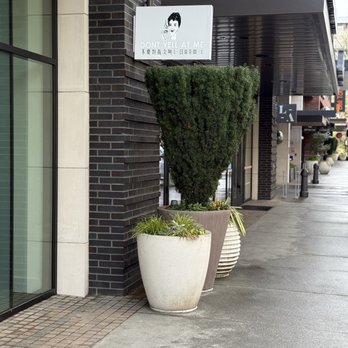 Don't Yell at Me - Bubble Tea Near Me - Kirkland, Washington