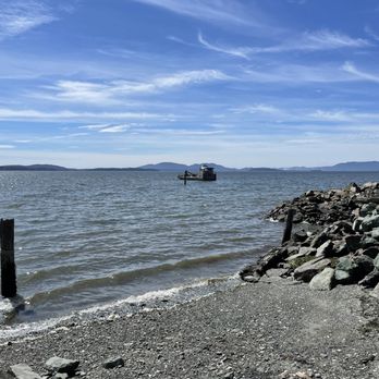 Taylor Shellfish Farms - View - Seafood Markets Near Me - Bow, Washington Taylor Shellfish Farms - View - Seafood Markets Near Me - Bow, Washington