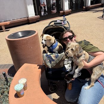 Coffee Dose - My daughter with the dogs and drinks. - Coffee & Tea Near Me - Encinitas, California