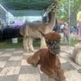Photo of Hamburg Farmers Market
