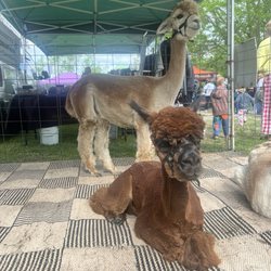 Hamburg Farmers Market