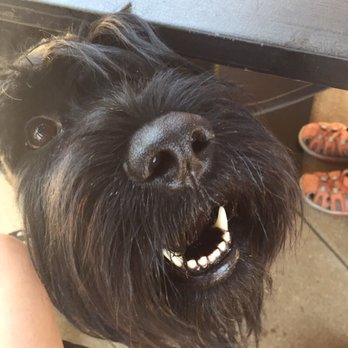 Larsen's Grill - Happy and relaxed to be on the patio... - Steakhouses Near Me - Oxnard, California