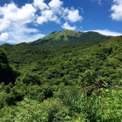 老虎頭