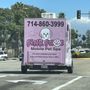 Photo of Pink Paws Mobile Pet Spa