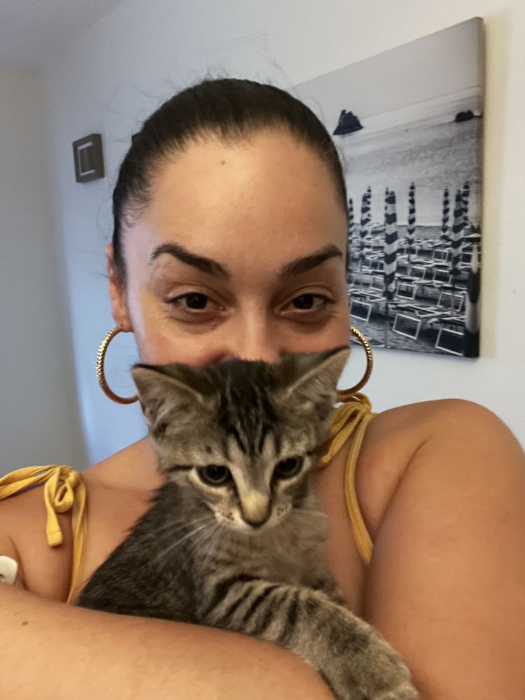 Lolly's Pet Sitting - pet boarding facility in Miami, FL