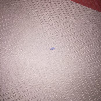 Motel 6 - Nasty stained bedding with hairs on them after room service asked for new sheets still hairy and stained - Hotels Near Me - Tigard, Oregon Motel 6 - Nasty stained bedding with hairs on them after room service asked for new sheets still hairy and stained - Hotels Near Me - Tigard, Oregon