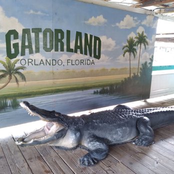 Gatorland - Zoos Near Me - Orlando, Florida Gatorland - Zoos Near Me - Orlando, Florida