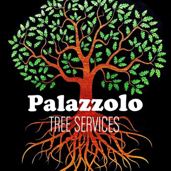 Palazzolo Tree Services - Tree Services Near Me Palazzolo Tree Services - Tree Services Near Me