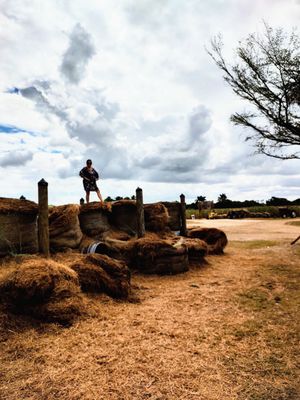 The Berry Farms by null