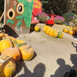 Blaser's Acres