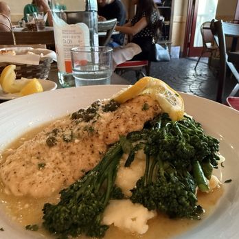 Trattoria Da Sofia - Picatta - Italian Near Me - San Diego, California Trattoria Da Sofia - Picatta - Italian Near Me - San Diego, California