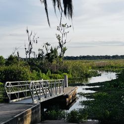 Lake Okahumpka Park