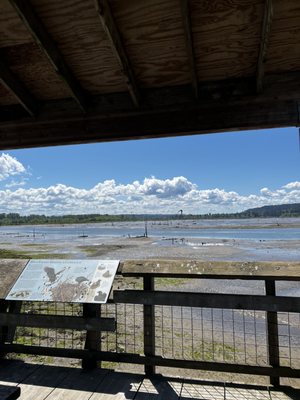 Billy Frank Jr. Nisqually National Wildlife Refuge by null