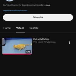 Bayside Animal Hospital - creep "vet" video claiming cat has rabies has comments turned off
