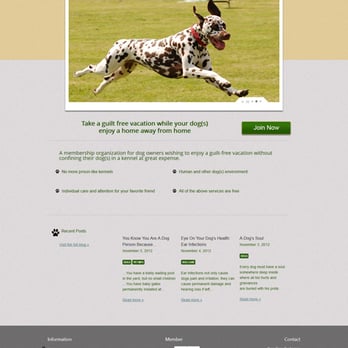 Carolina Custom Designs - Dog Care Exchange - Web Design Near Me