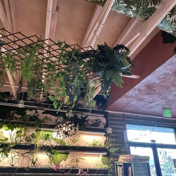 Bee Hill Bakery - Beautiful ambiance - Bakeries Near Me - Silverdale, Washington