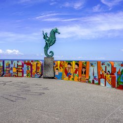 Obi Tours - Letters of Puerto Vallarta