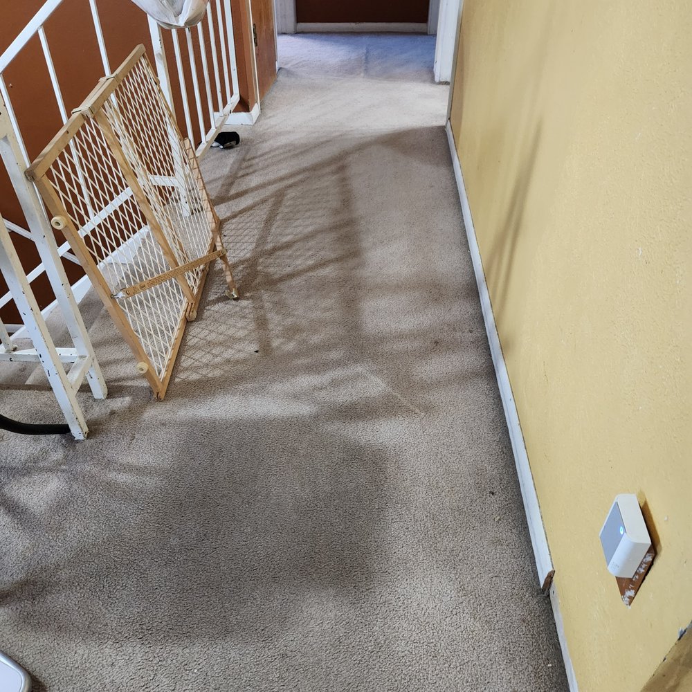 Flat Roof Collective - Hall before, ugly stinky carpet - Cabinetry Near Me - Denver, Colorado