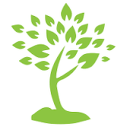 Holistic Integration