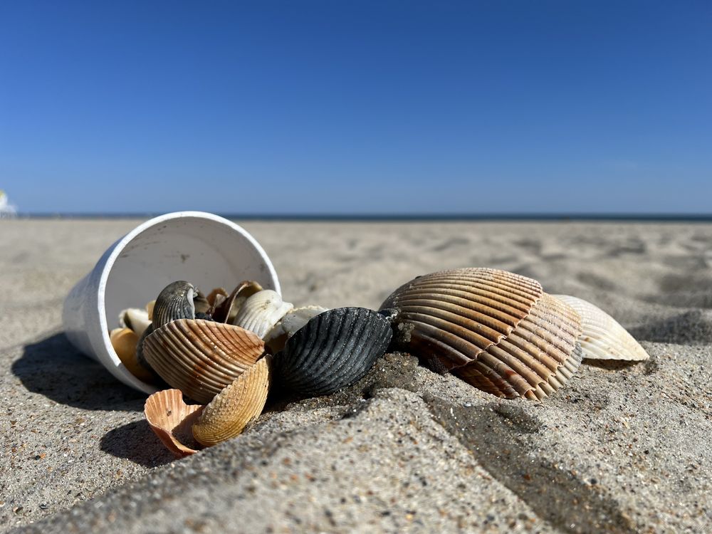 Atlantic Beach Boardwalk