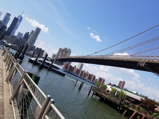 Brooklyn Bridge Park - Pier 1 by null